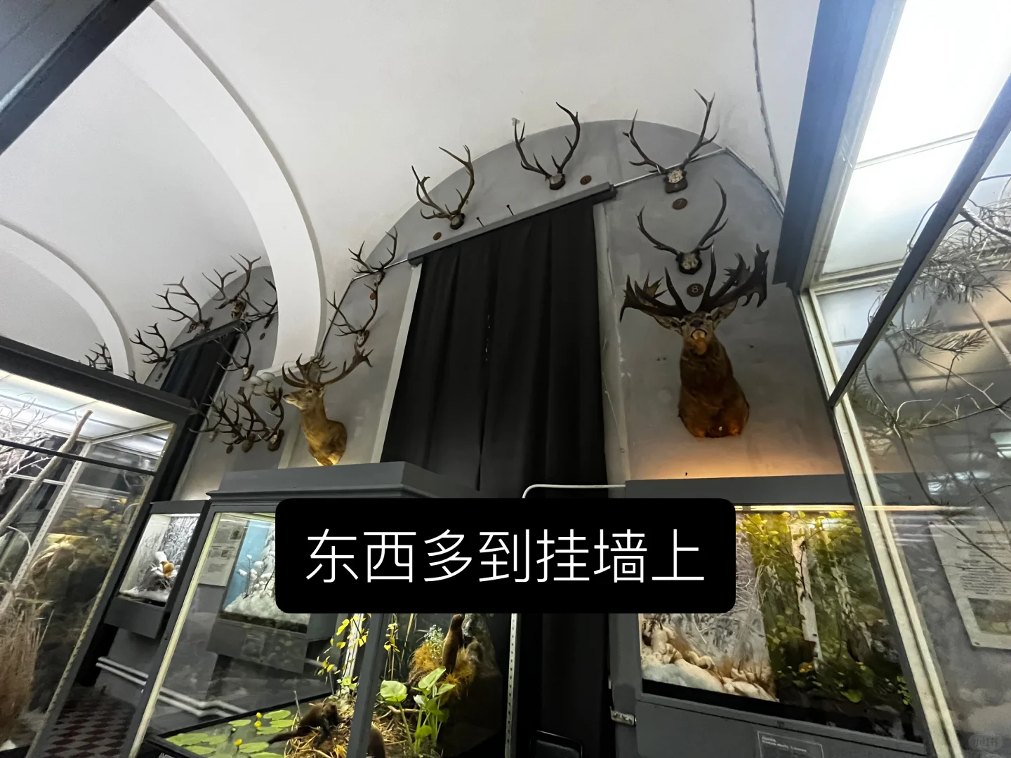 ??动物学博物馆奇妙夜