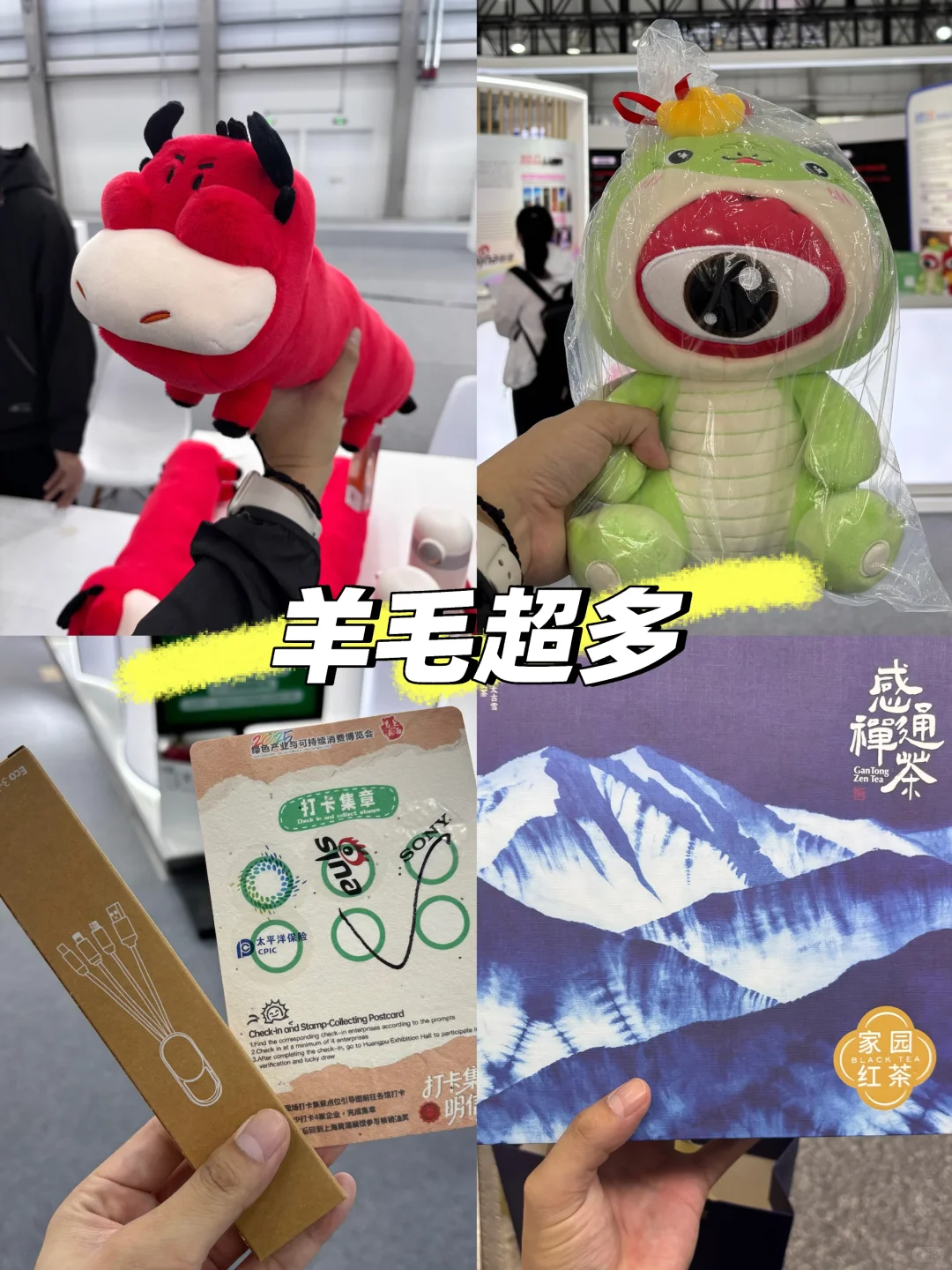 全网首发！2025可持续全球领导者大会全攻略！