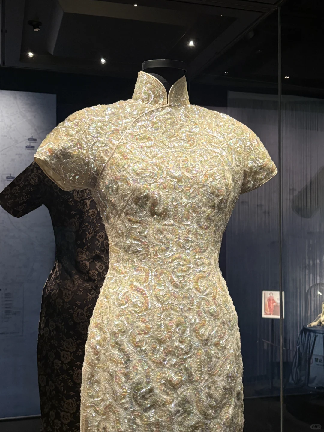 看展010|上海大学博物馆旗袍展