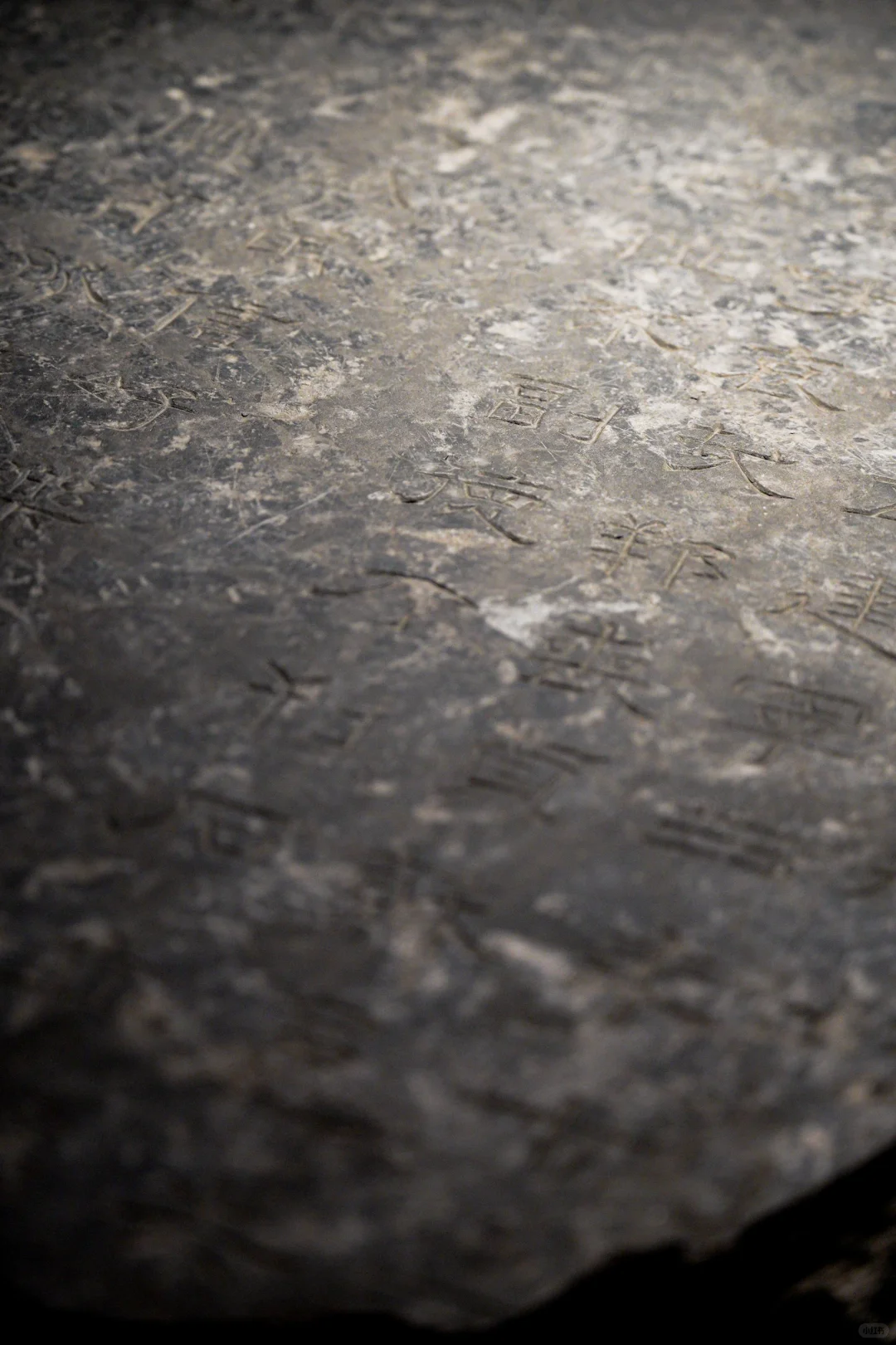 这些是镇馆之宝不容错过|呼市内蒙古博物院