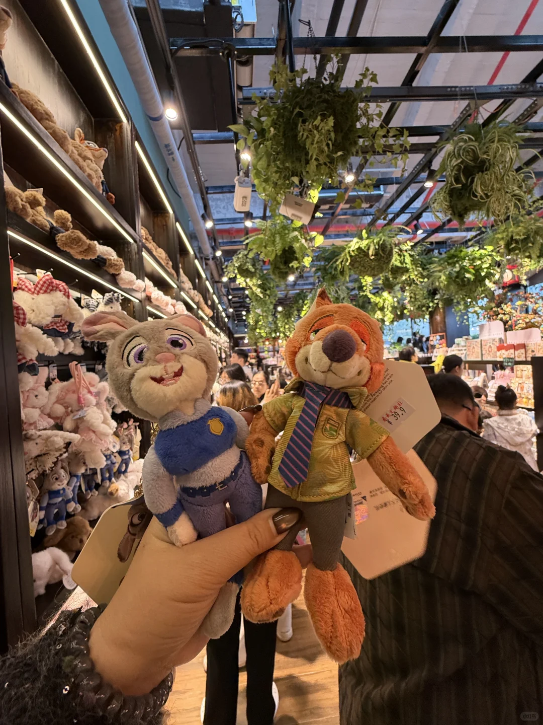 石家庄开了！！！能逛多半天！！！