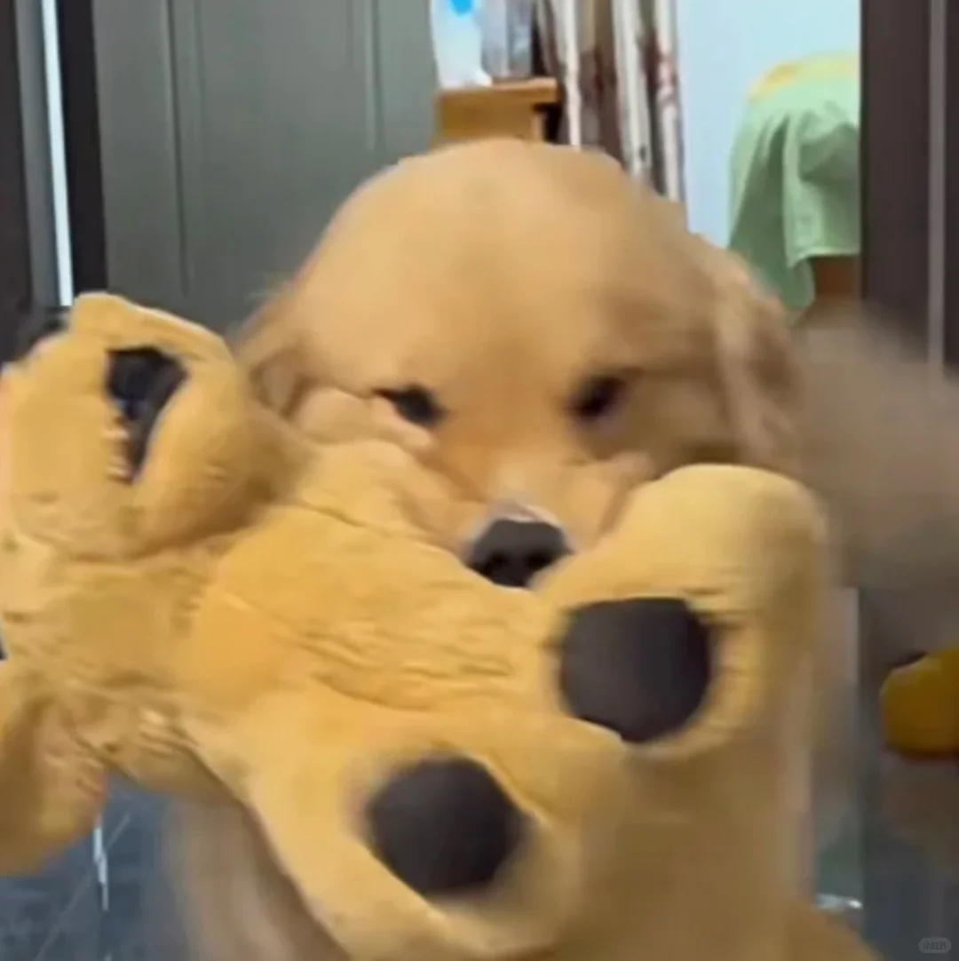 跨境开发工作日常|供应商砍价(实战1)