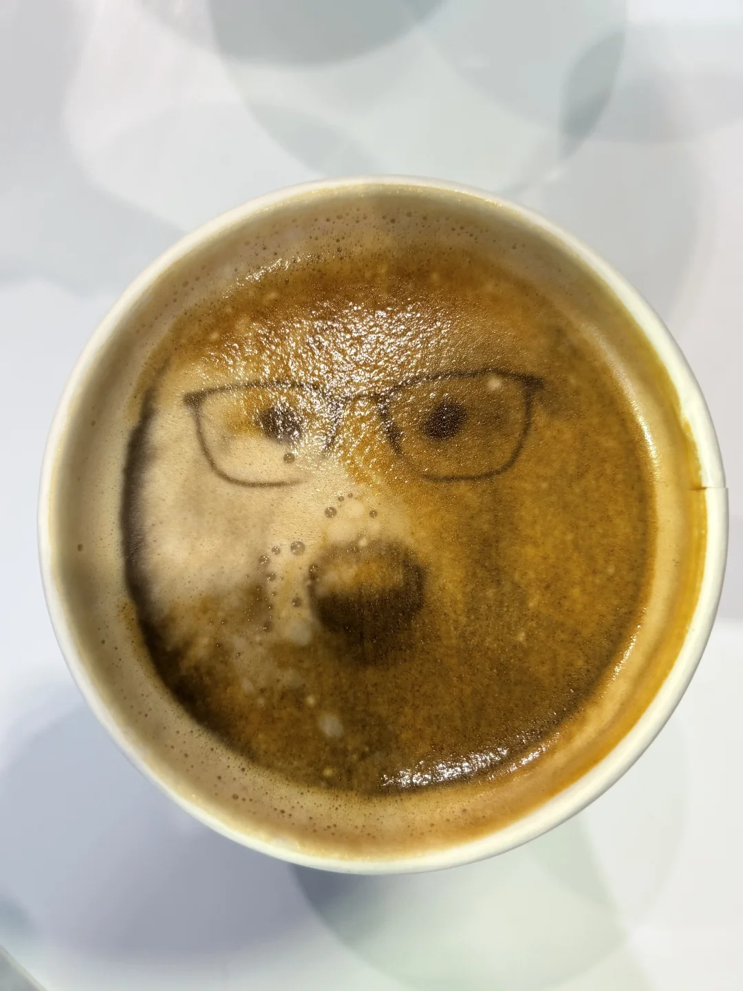 广交会第一期翻译！