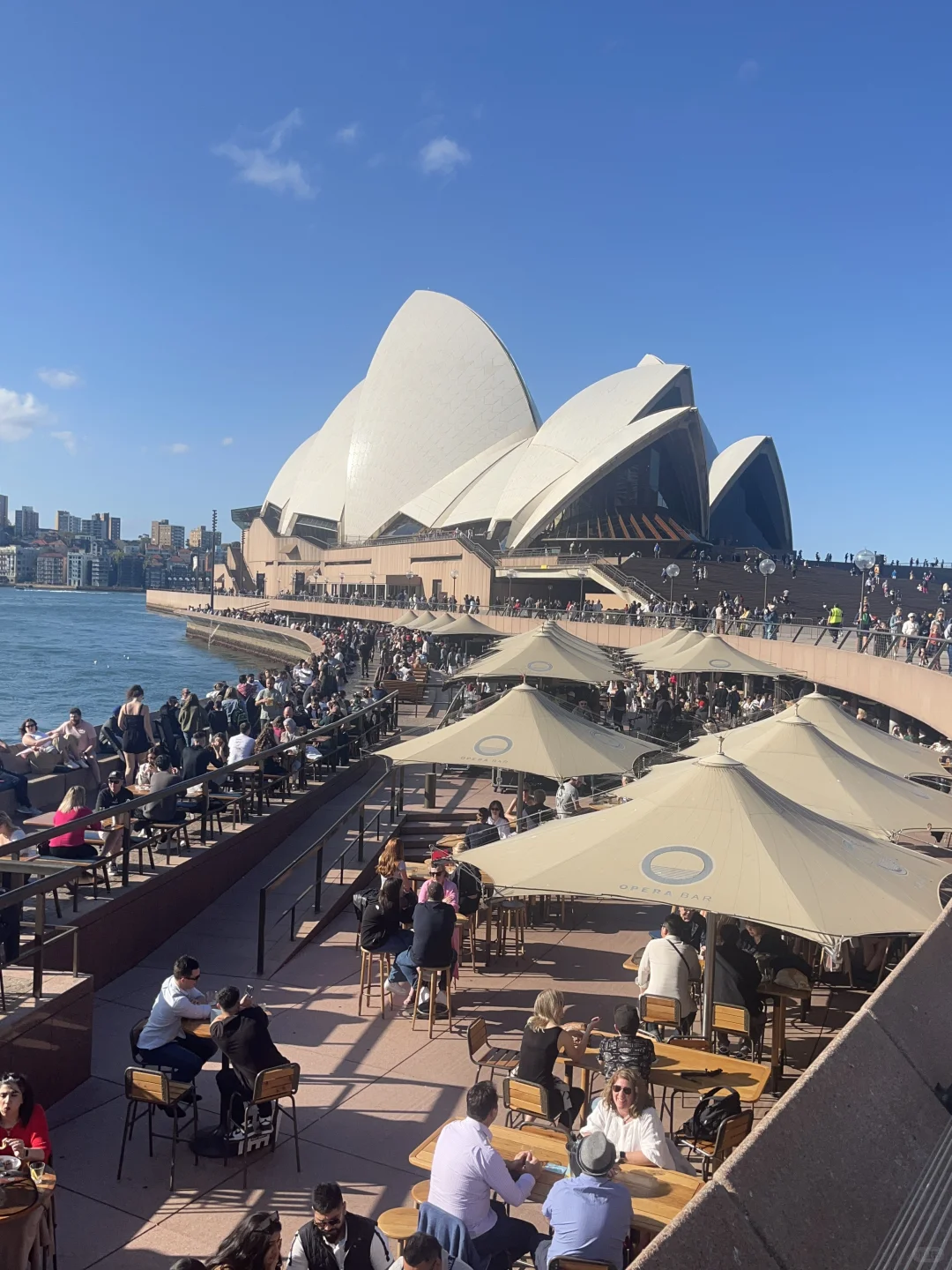 澳洲展会篇| 展前准备