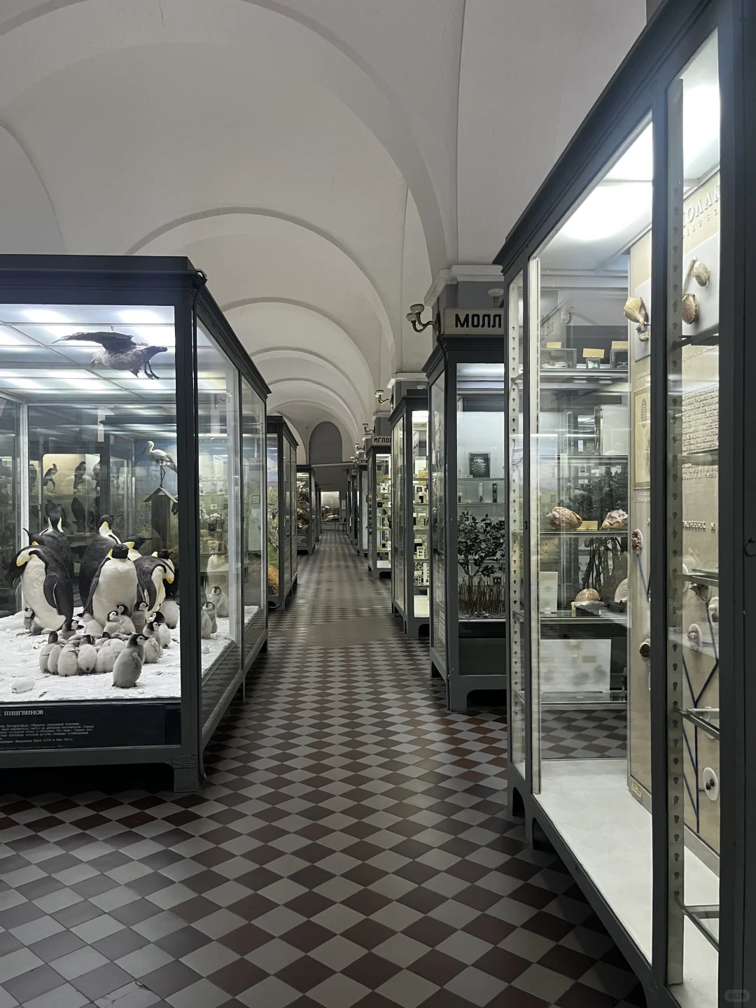 ??动物学博物馆奇妙夜