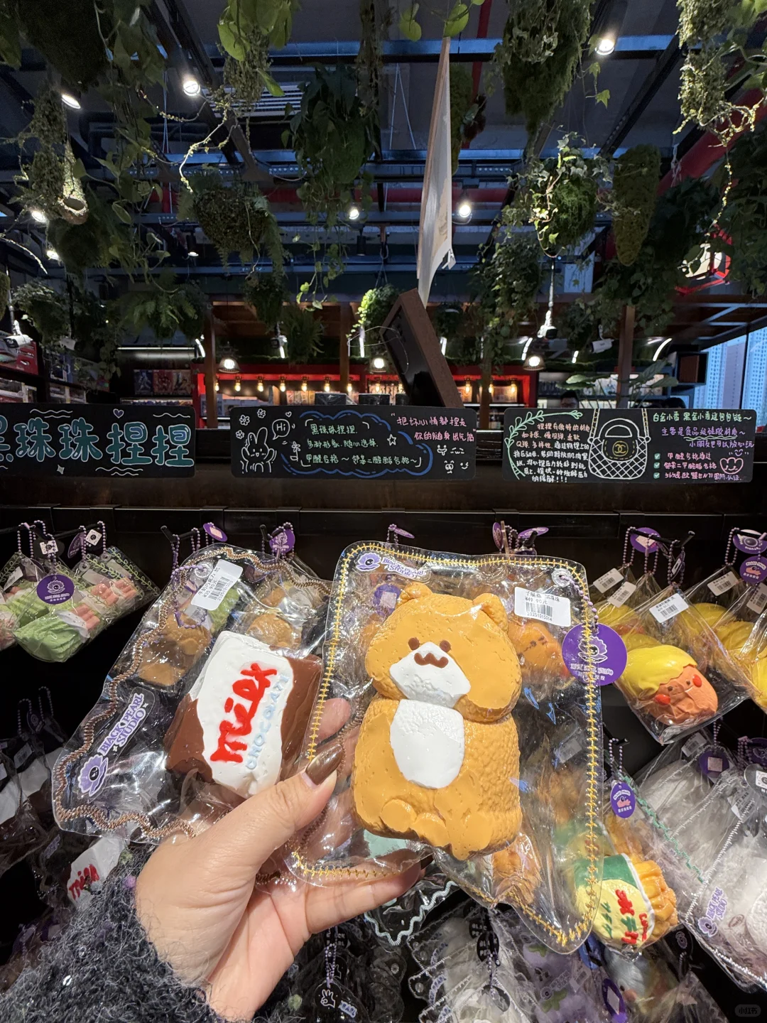 石家庄开了！！！能逛多半天！！！