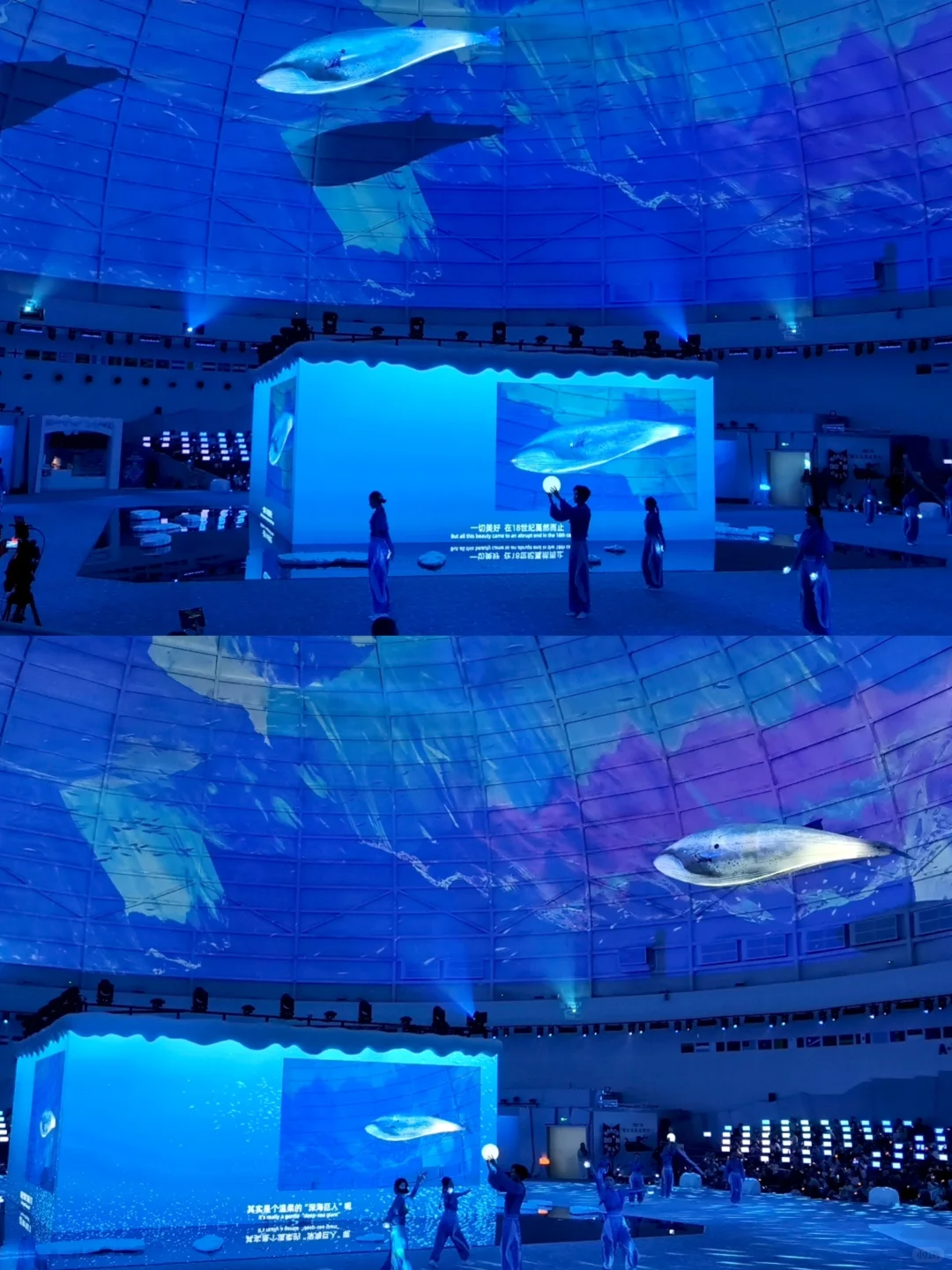 冒雨去山博,果然没白去!内容丰富好好逛!