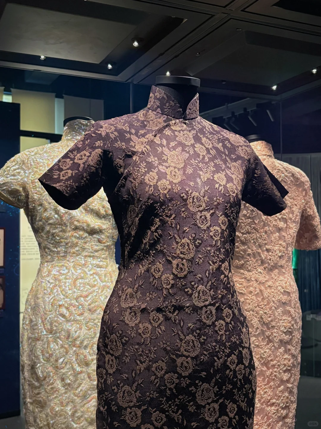 看展010|上海大学博物馆旗袍展