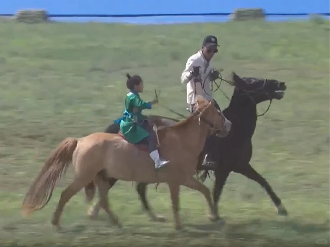 2025年那达慕大会-你准备好了吗❓盛会篇