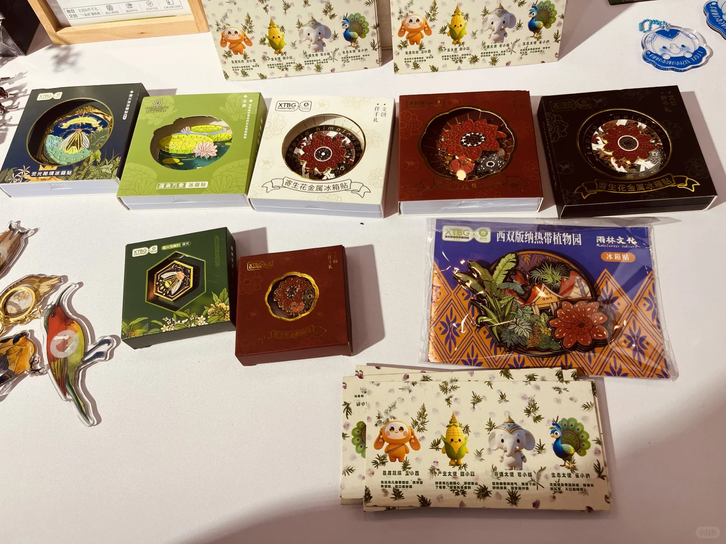 会展中心4号馆-云南