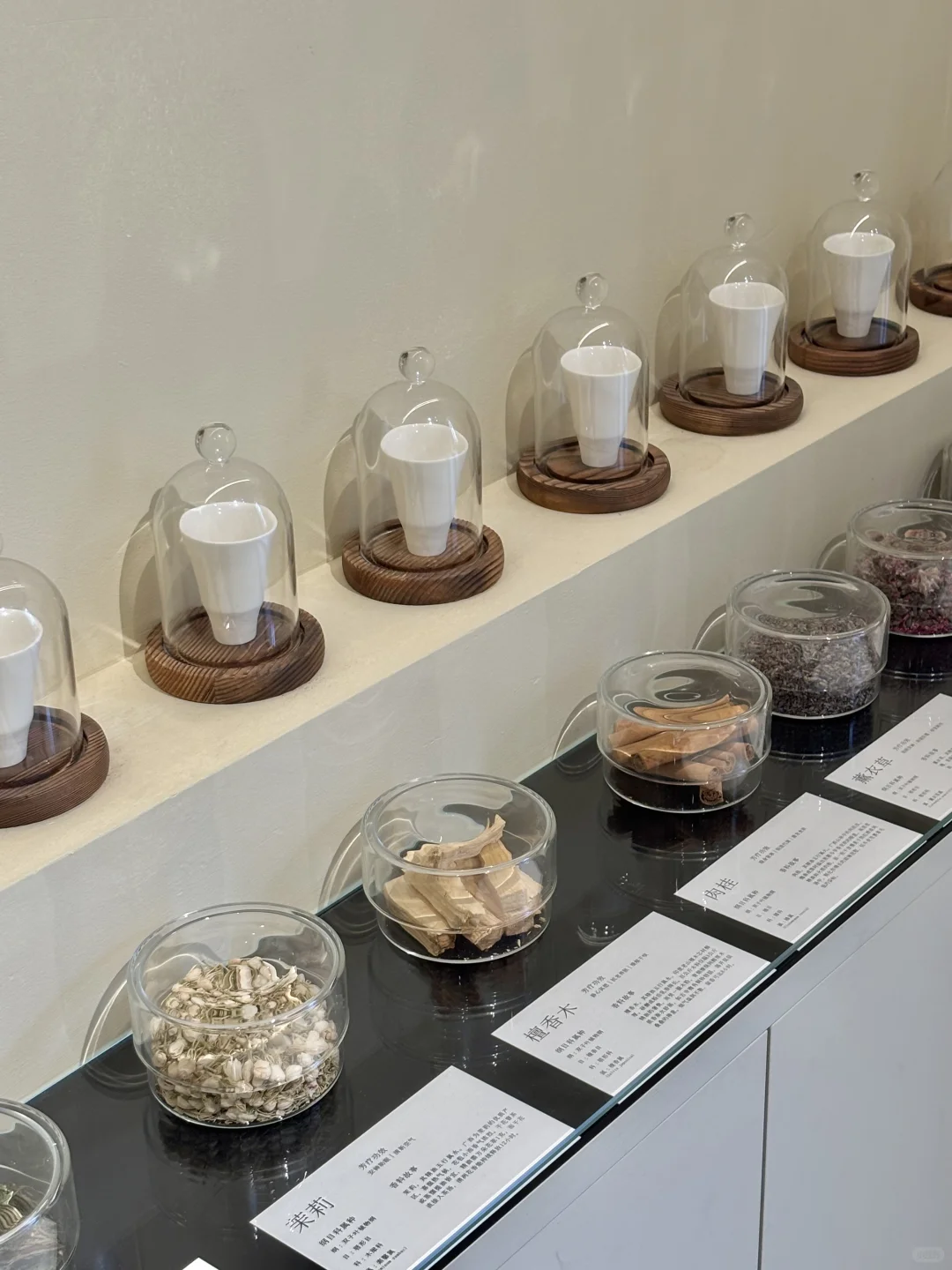 大连首家！！大连首家！！太超前了….