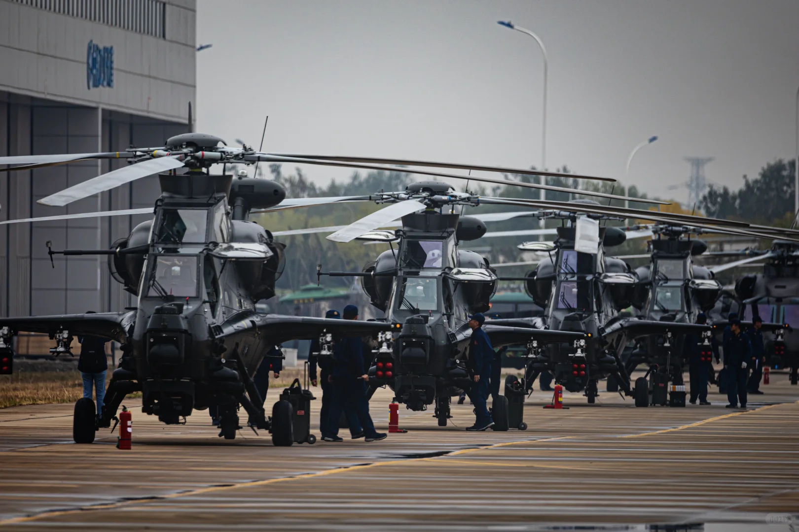 关于天津直博会的一些经验