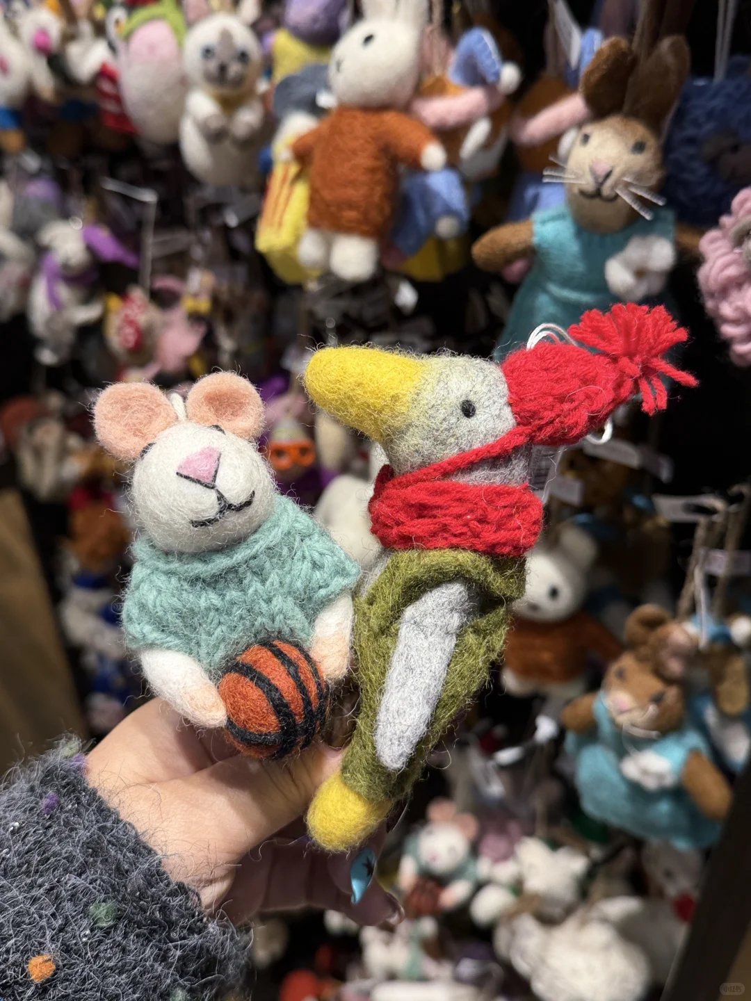 石家庄开了！！！能逛多半天！！！