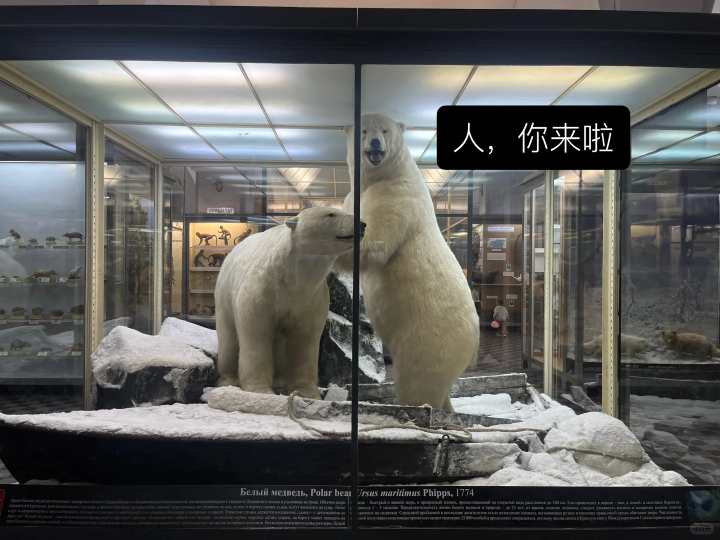 ??动物学博物馆奇妙夜