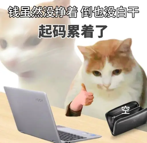 跨境新人不懂采购，最后不是断货就是清仓