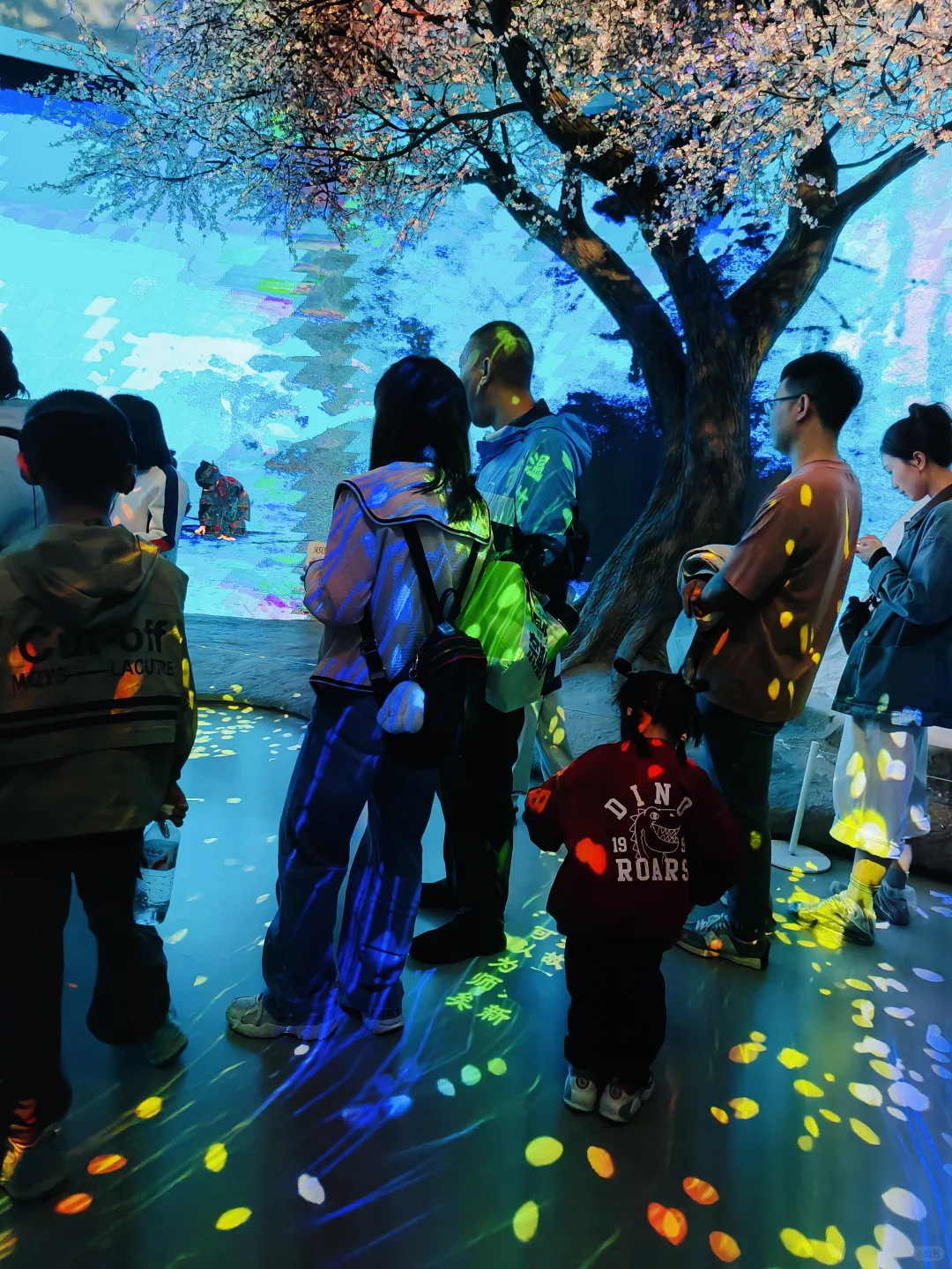 冒雨去山博,果然没白去!内容丰富好好逛!