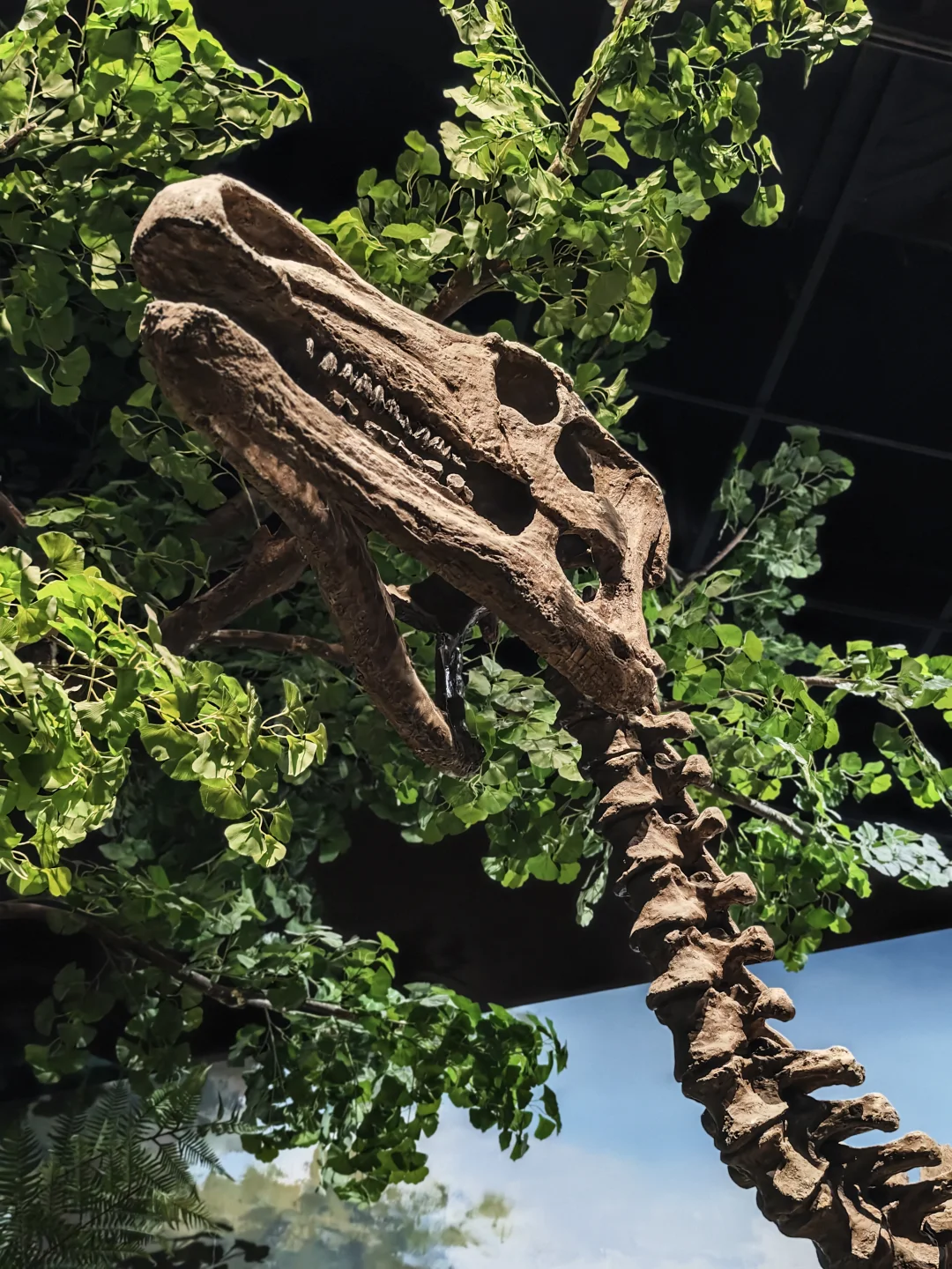 内蒙古博物院新馆