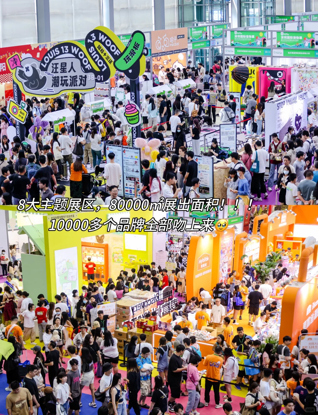 就在10?️‼️杭州华东宠物展3天通票21啦