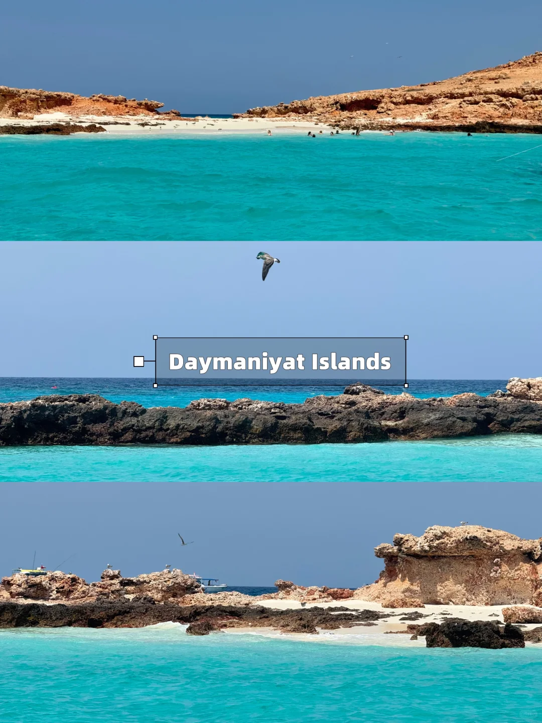 阿联酋&阿曼自驾|沙漠与海洋的极致碰撞