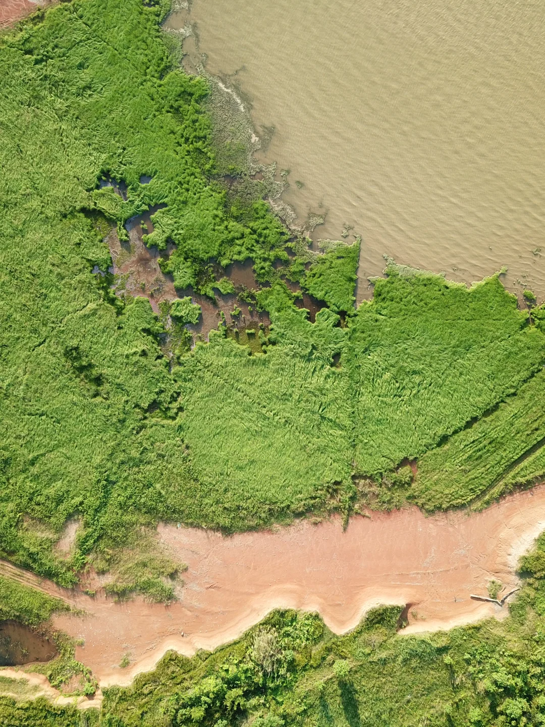 ✨展会回顾|东鹏新材2025设计深圳落幕