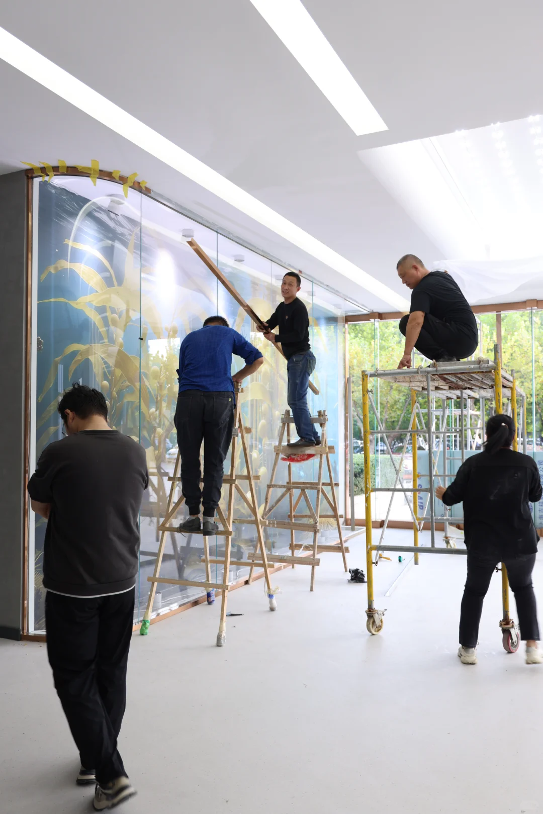 明日预告✨ 明月海藻双周年庆+品牌焕新！