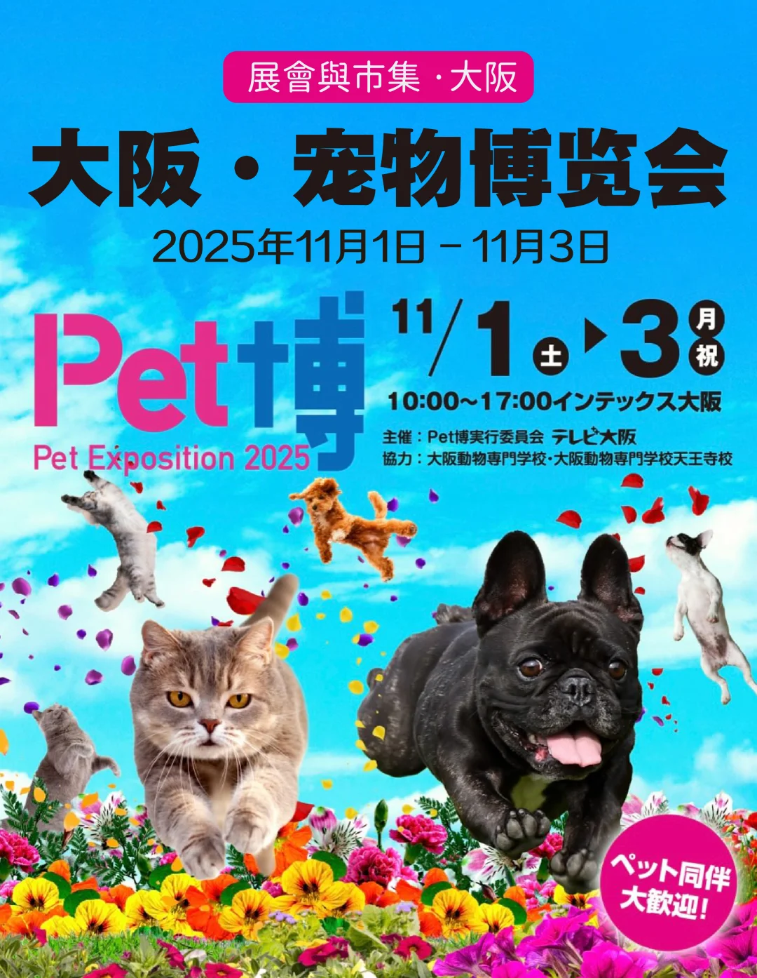 宠物同伴入场OK!大阪大规模宠物市集登场