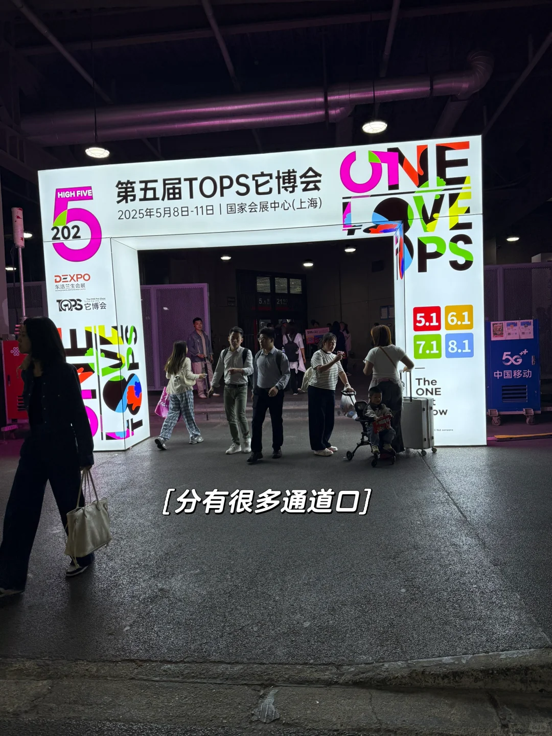 暴走2万步总结的2025它博会攻略!