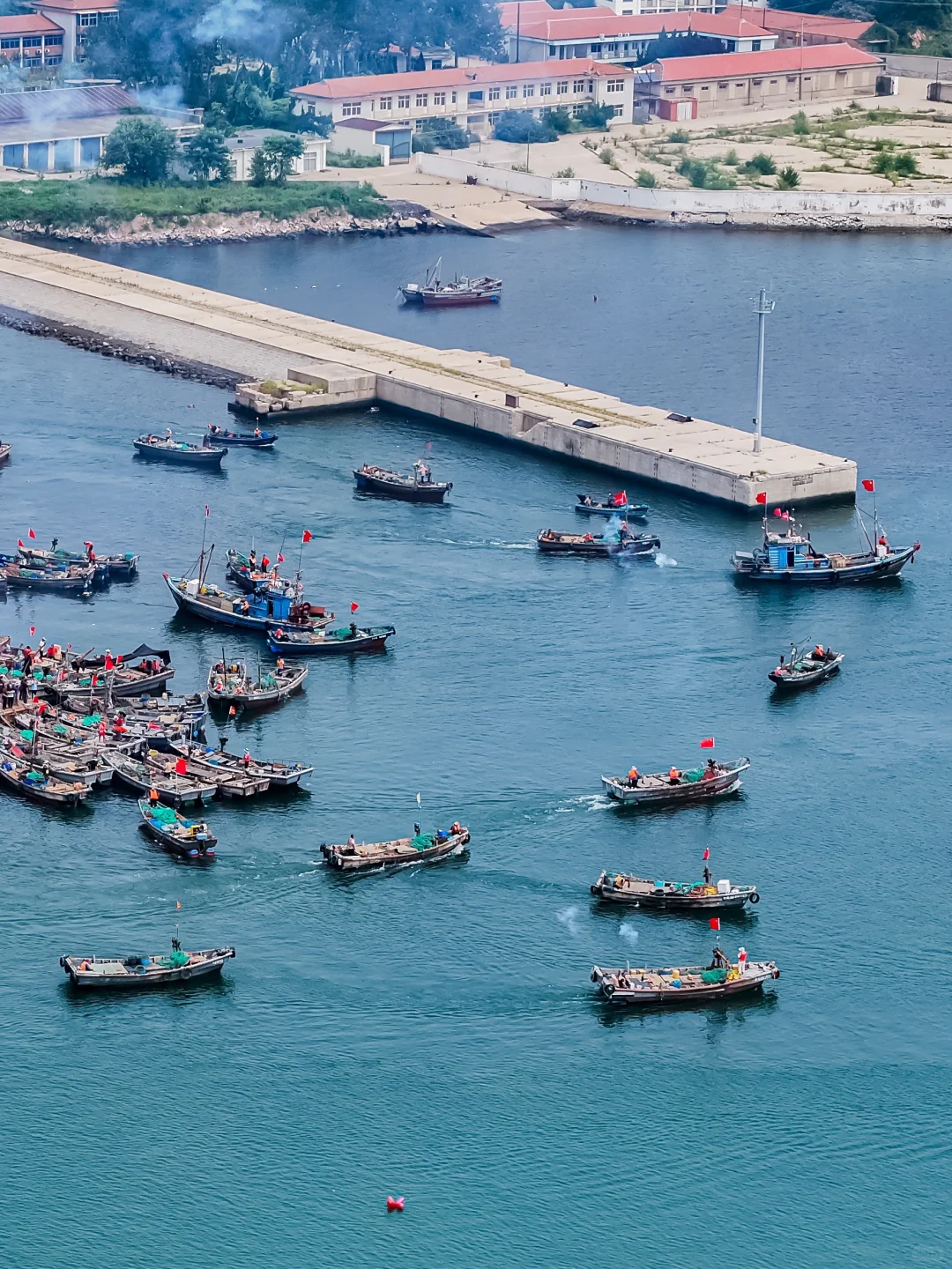 烟台人都去哪买海鲜❓超全地图公开?