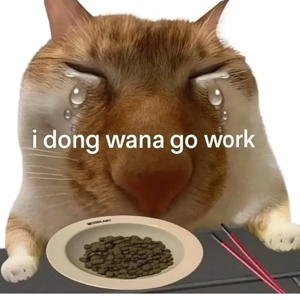 225拿的6z的电子?是啥牌子的