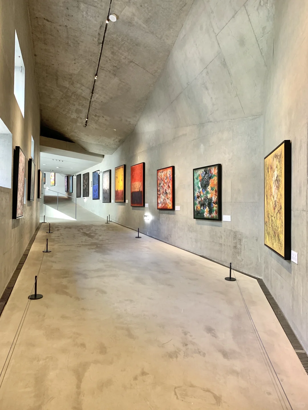 杭州近期被低估的免费展?️