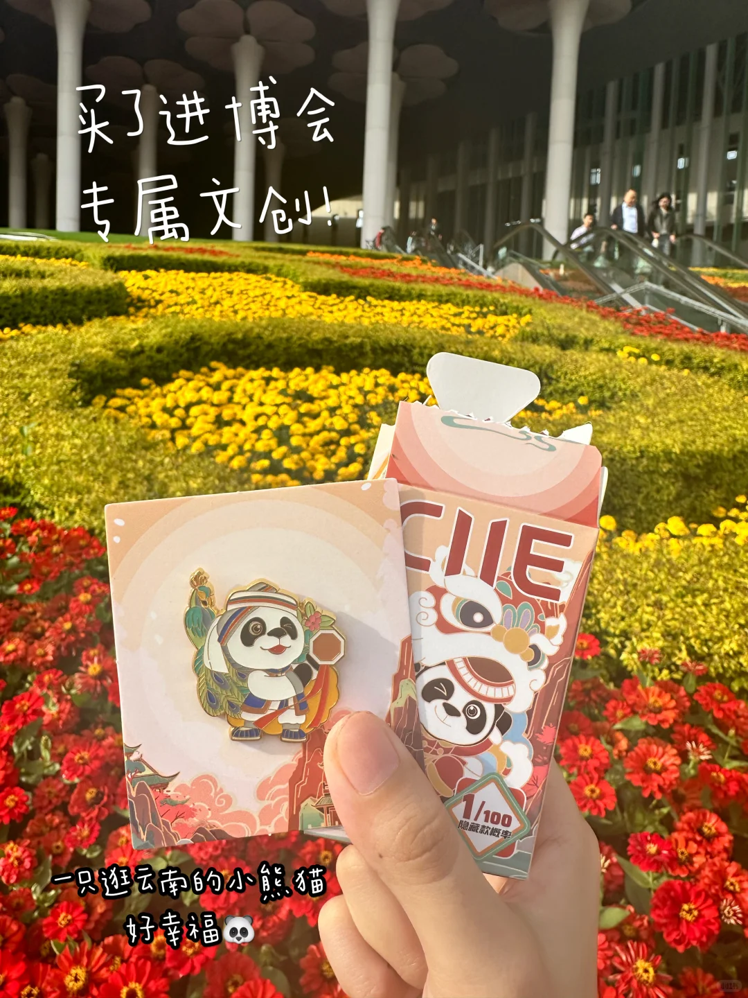 上外大二|大学生在进博会上干什么?