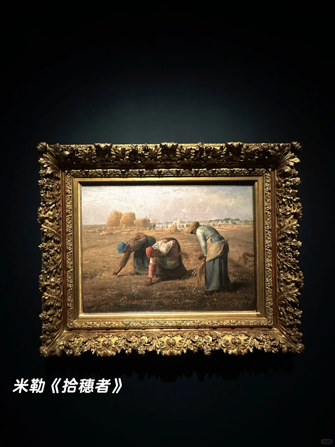 梵高真迹来上海了‼️浦美这次真的杀疯了‼️