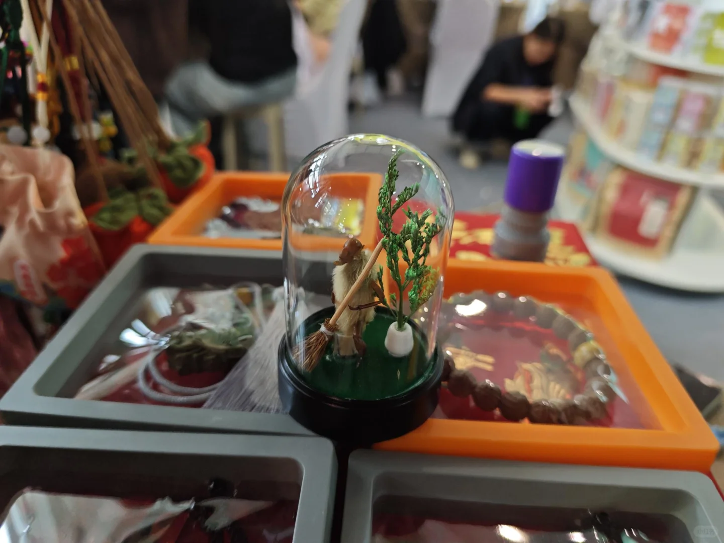 众人都爱的别样惊喜别错过