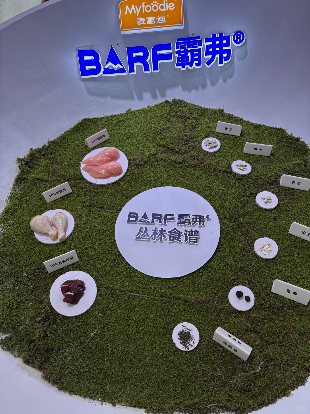 【展会观察】年轻人不生娃,开始养宠物了??