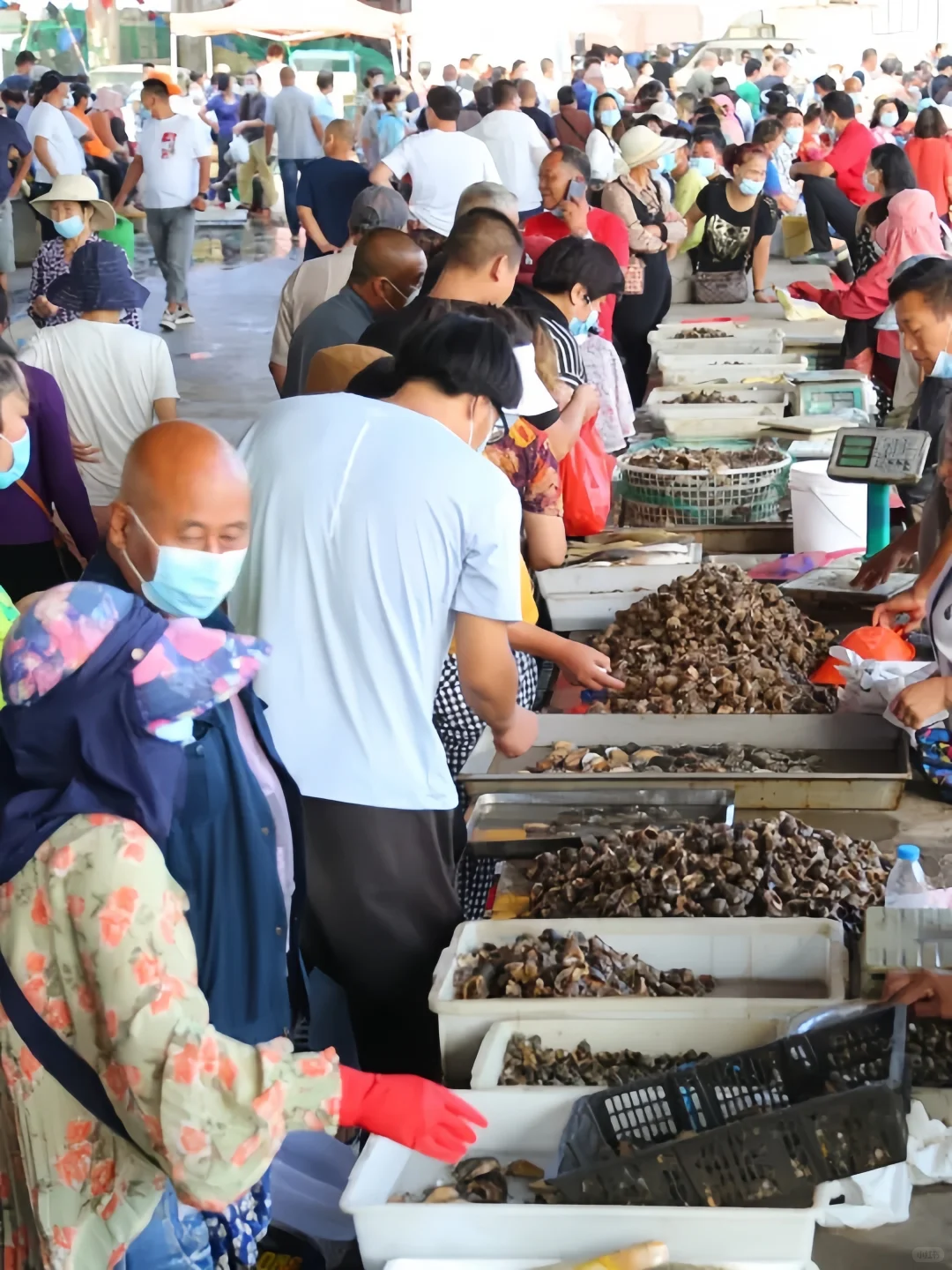 烟台人都去哪买海鲜❓超全地图公开?