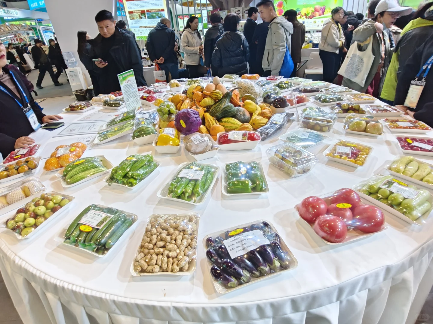 农交会瞎溜达一圈?