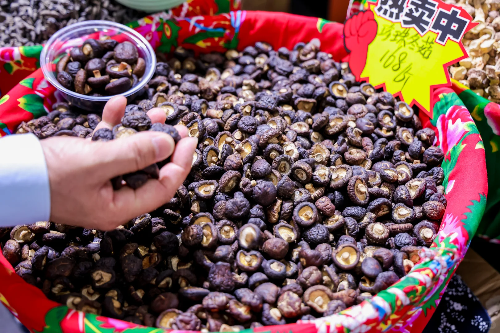 ?宝子们,我在第二十二届中国国际农产品