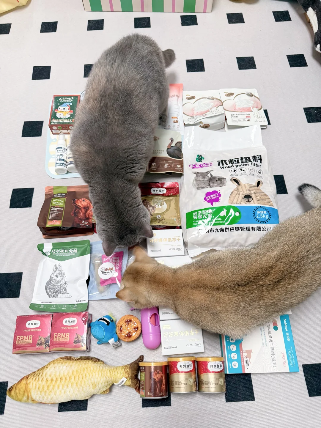 深圳宠物展首日战报!劝薅羊毛党慎冲?