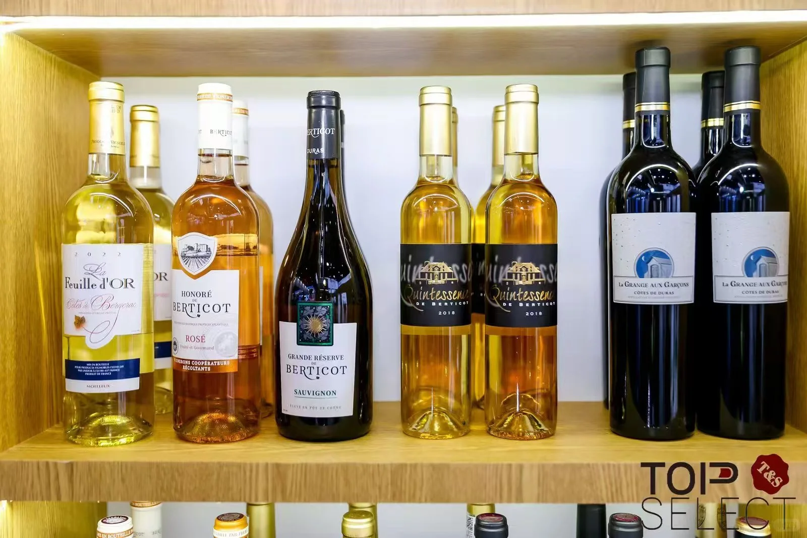 参加第七届进博会的感受