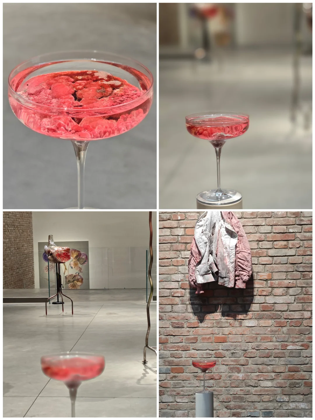 征侯/视界值得感受