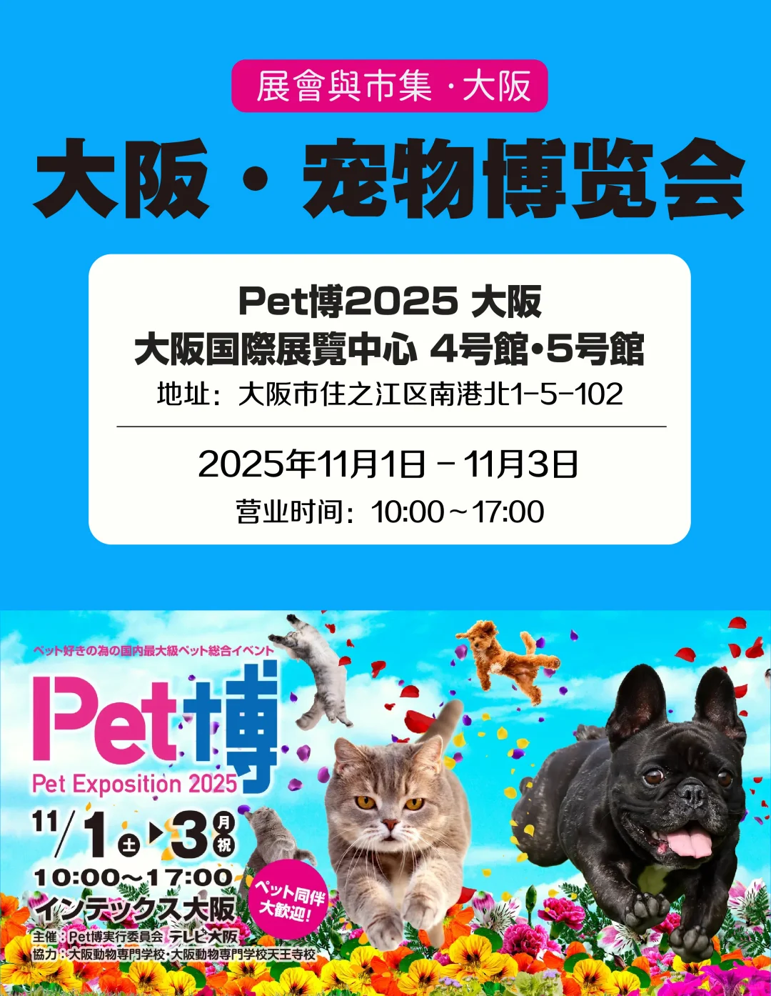 宠物同伴入场OK!大阪大规模宠物市集登场