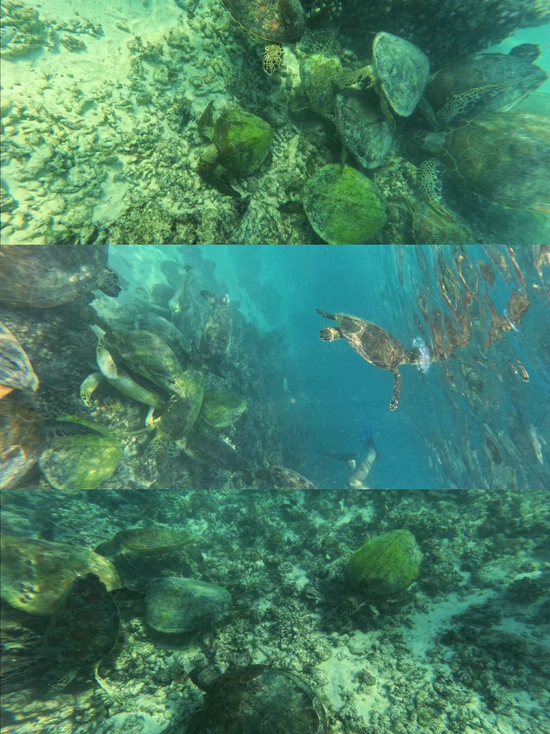 阿联酋&阿曼自驾|沙漠与海洋的极致碰撞