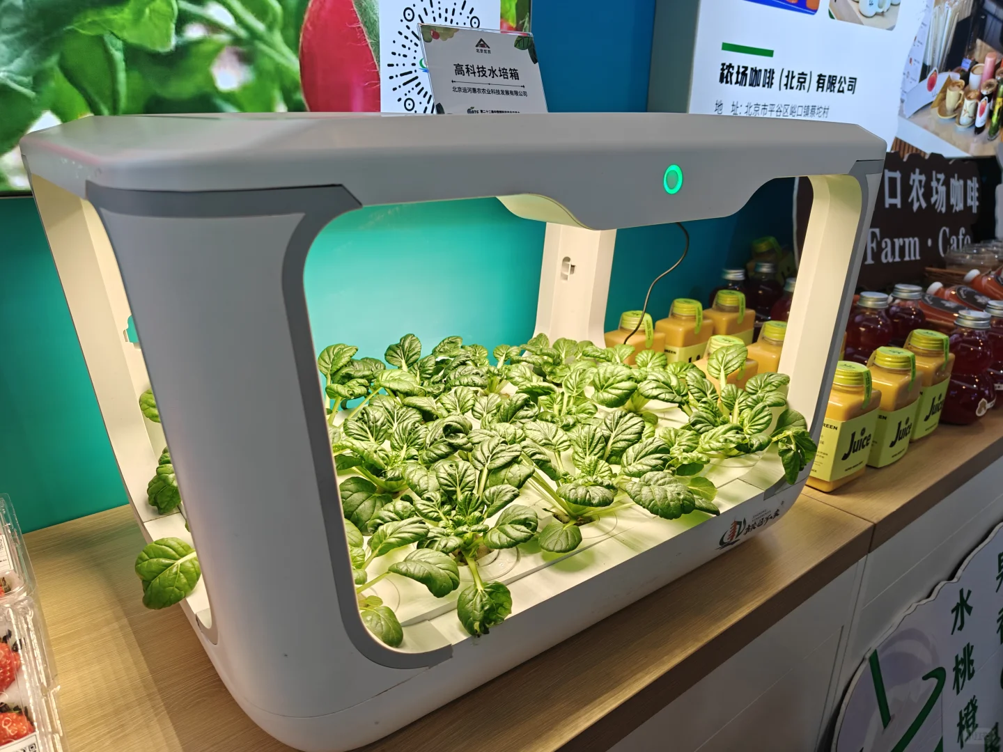 农交会瞎溜达一圈?