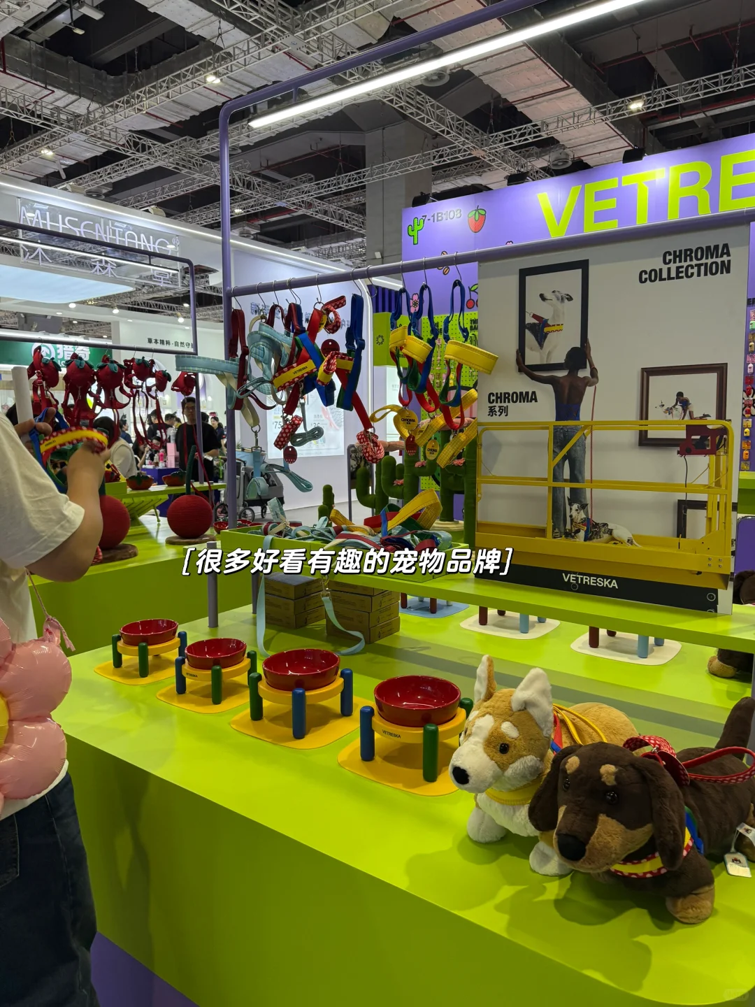 暴走2万步总结的2025它博会攻略!