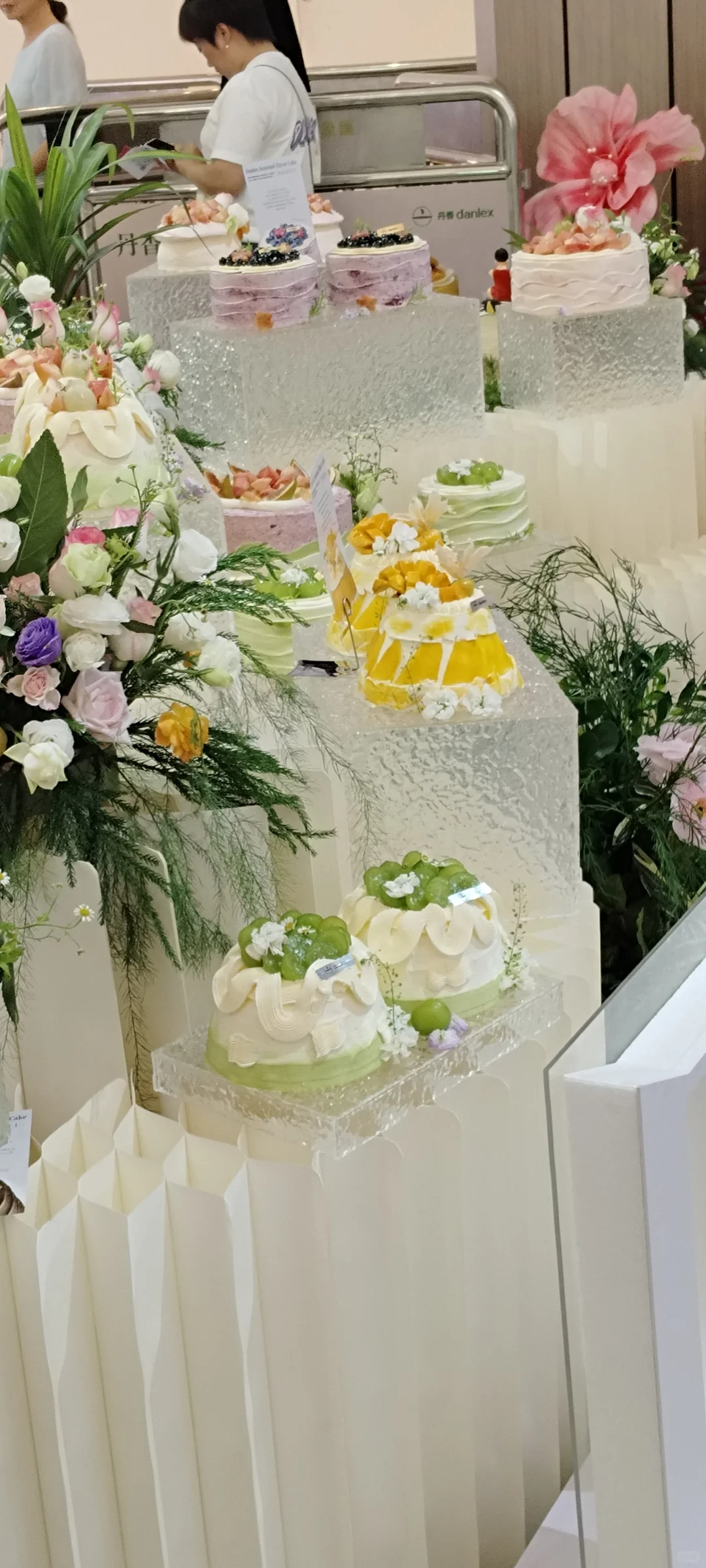 丹香新品发布会！