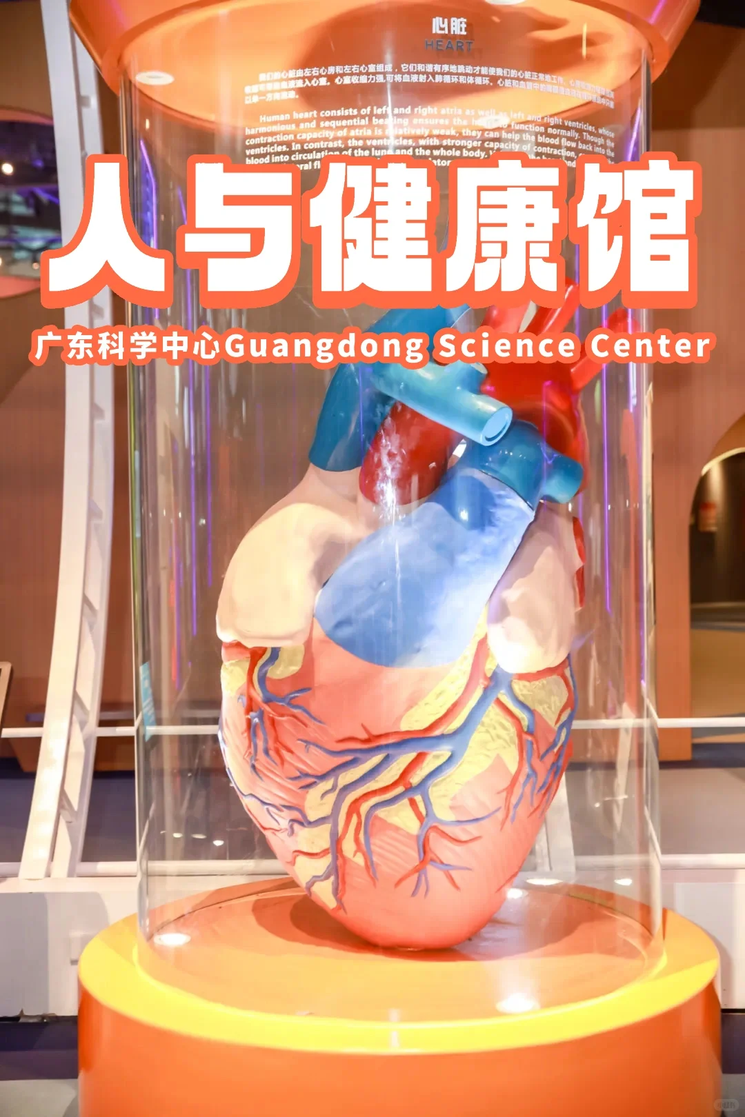 广东科学中心 | 功课 | ?人与健康馆