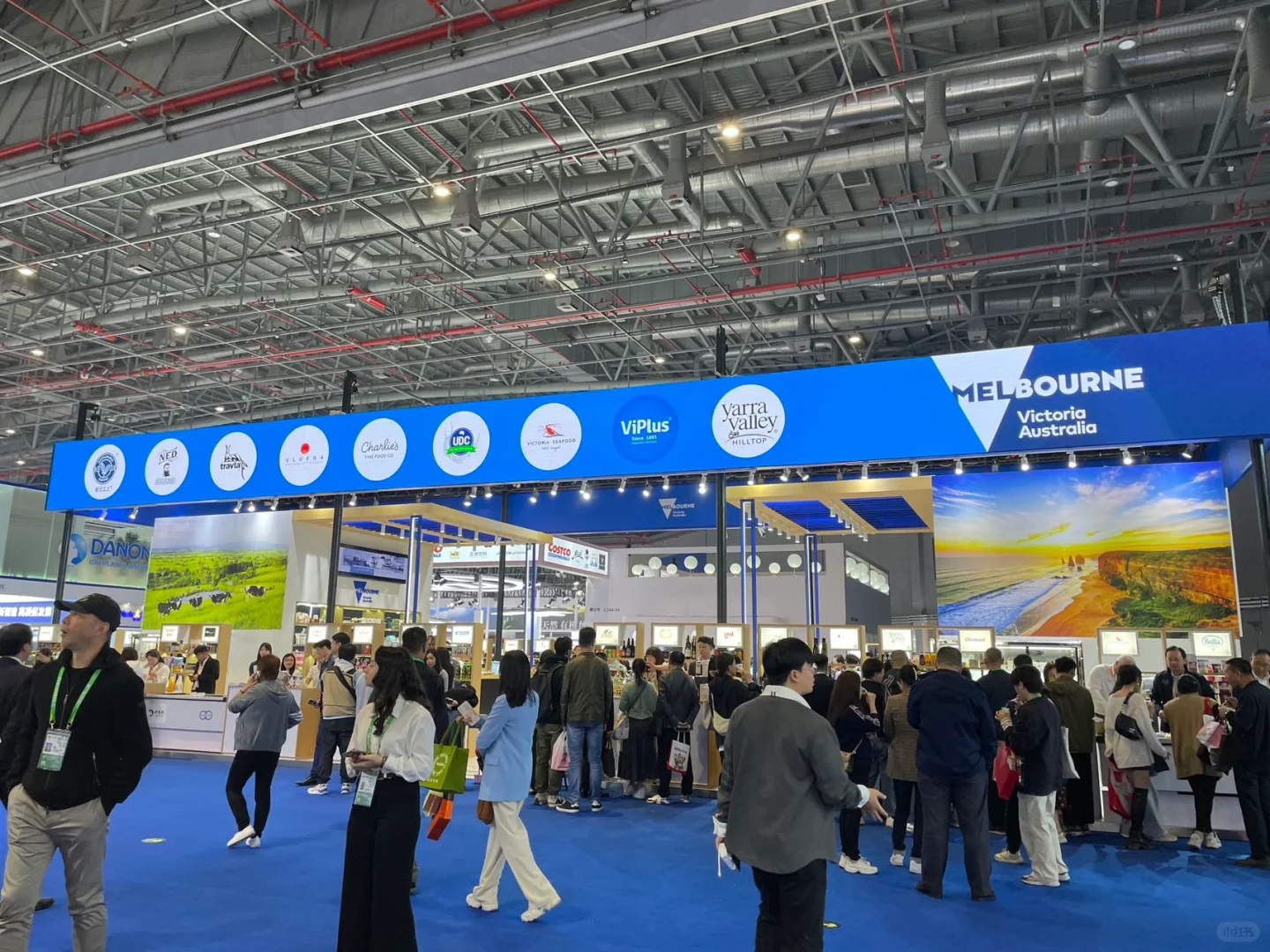 进博会 | 博览盛宴，无限可能！