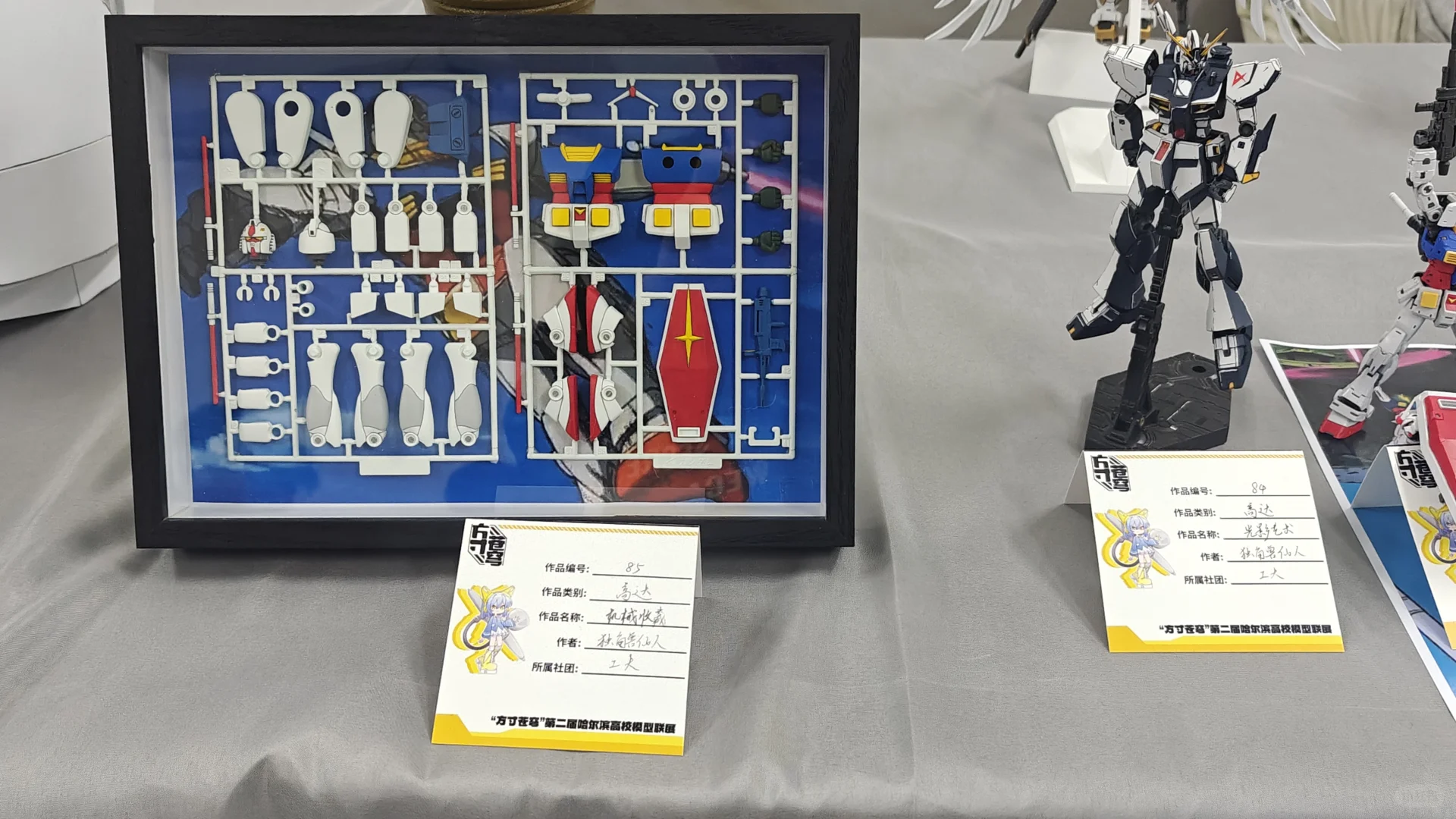 尔滨高校模型展