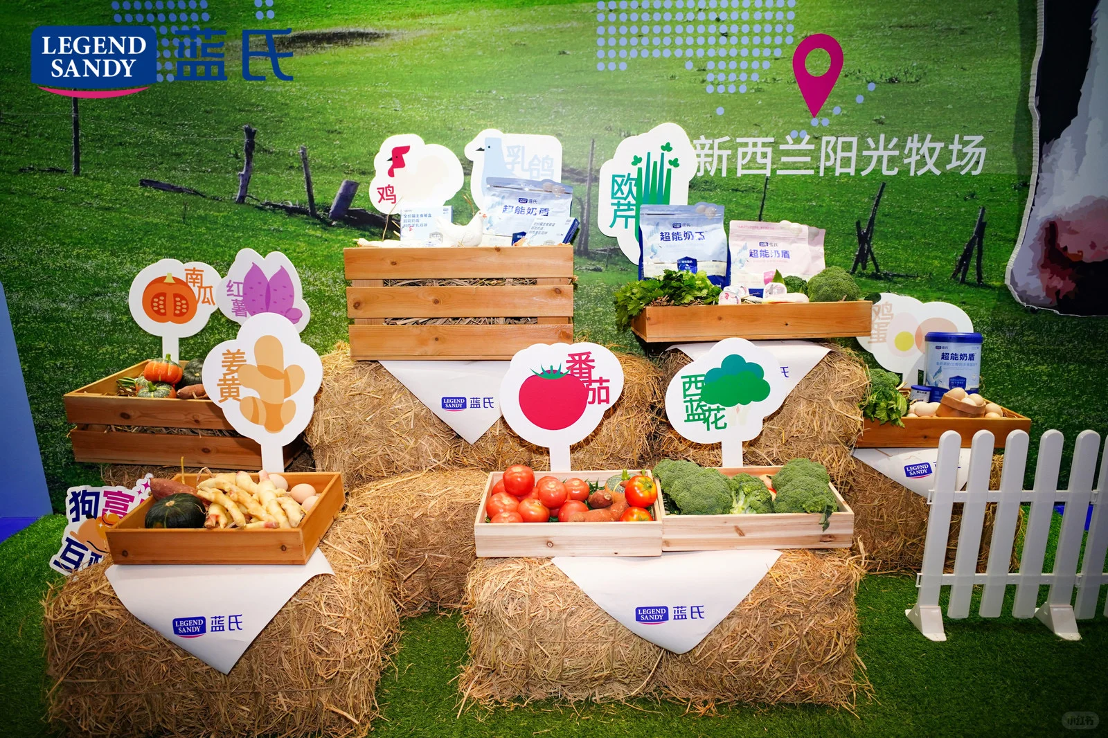 高阶营养 生命富养｜蓝氏品牌新品发布会