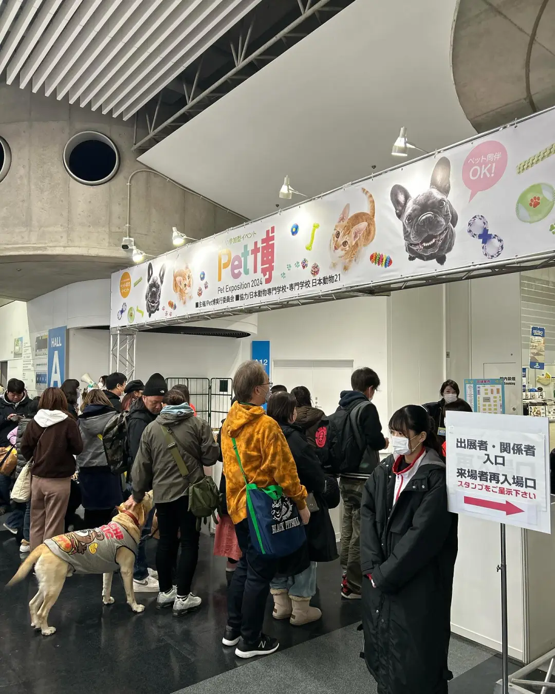 宠物同伴入场OK!大阪大规模宠物市集登场